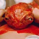 photo du film Une fille pour le diable