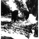 photo du film Retour au Lagon Bleu
