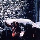 photo du film Y aura-t-il de la neige à Noël ?