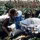 photo du film Y aura-t-il de la neige à Noël ?