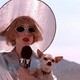 photo du film Mars Attacks!