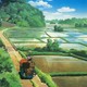 photo du film Mon voisin Totoro