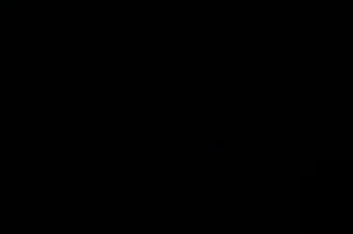 Un extrait du film  Mon voisin Totoro