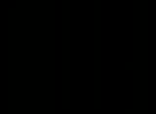 Un extrait du film  Mon voisin Totoro