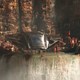 photo du film Black Panther