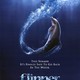 photo du film Flipper