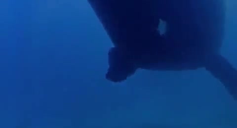 Extrait vidéo du film  Paï