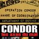 photo du film Condor : les axes du mal