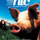 photo du film Hic (de crimes en crimes)
