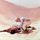 photo du film Le Vol du Phénix