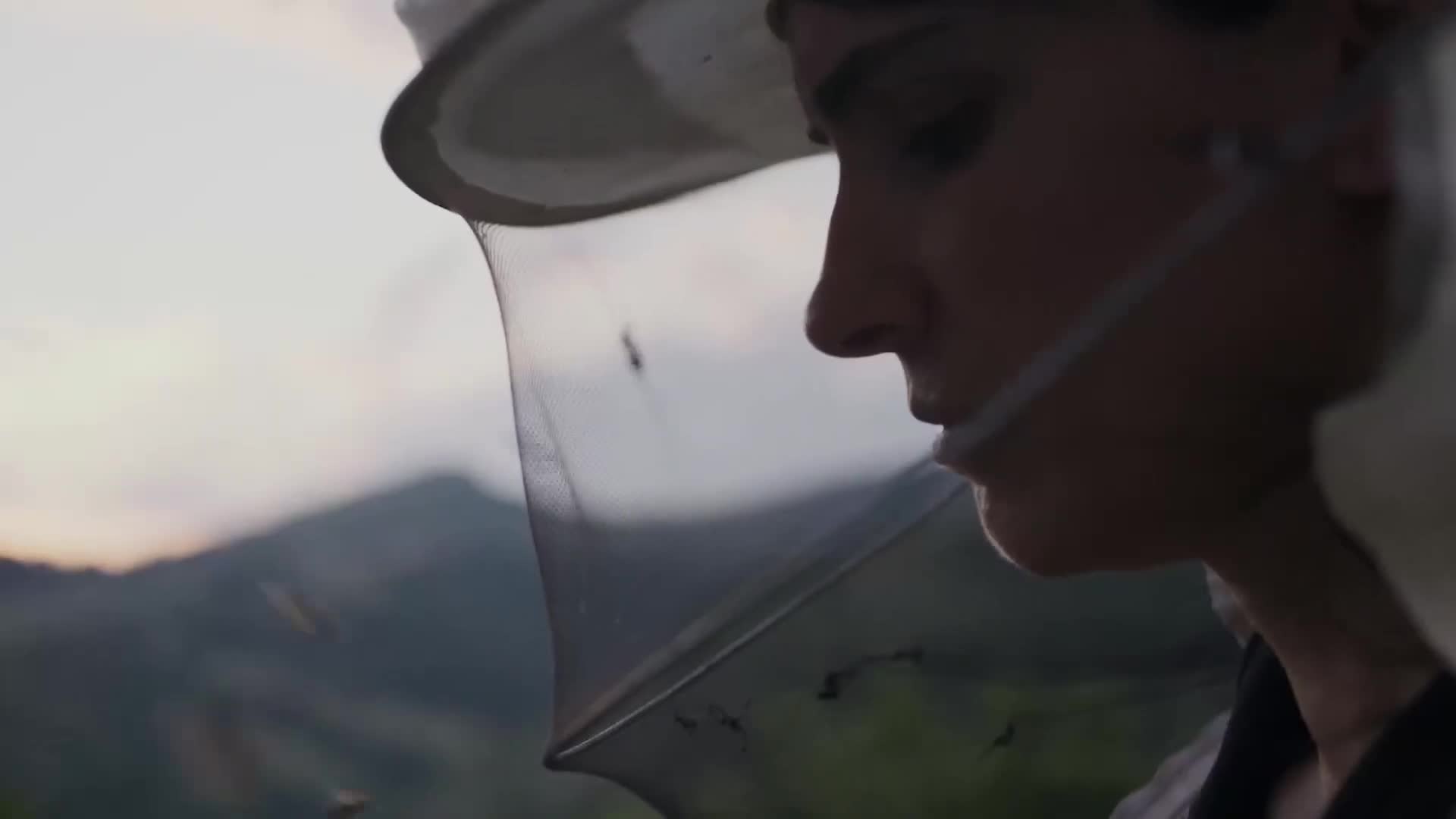 Extrait vidéo du film  La Ruche