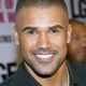 Voir les photos de Shemar Moore sur bdfci.info
