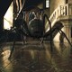 photo du film Harry Potter et le prisonnier d'Azkaban