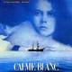 photo du film Calme Blanc