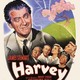 photo du film Harvey