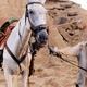 photo du film Lost in La Mancha
