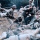 photo du film MacArthur, le général rebelle