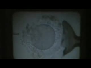 Un extrait du film  Ces garçons qui venaient du Brésil