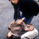 photo du film Le Grand sommeil
