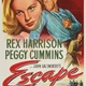 photo du film Escape