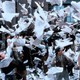 photo du film Newsies