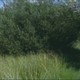 photo du film Adieu Falkenberg