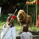 photo du film Le Monde de Narnia : chapitre 1 - le lion, la sorcière blanche et l'armoire magique