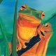 photo du film Les Contes des animaux