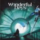 photo du film Wonderful days