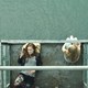 photo du film Sans jamais le dire
