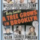 photo du film Le Lys de Brooklyn