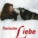 photo du film Animal love