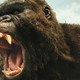 photo du film Kong : Skull Island