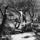 photo du film Le Fantôme de Frankenstein