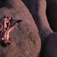 photo du film TwentyNine Palms