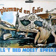 photo du film Le Plumard en folie