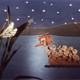 photo du film Les Etoiles filantes