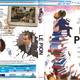photo du film Le Pion