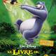 photo du film Le Livre de la jungle 2