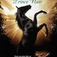 photo du film Prince Noir