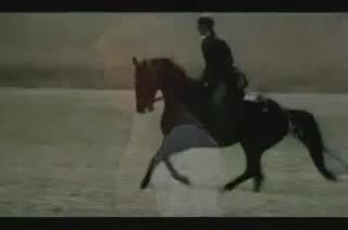 Extrait vidéo du film  Prince Noir