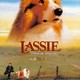 photo du film Lassie