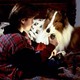 photo du film Lassie