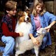 photo du film Lassie