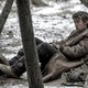 photo du film The Revenant