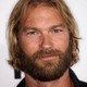 Voir les photos de Andrew Wilson sur bdfci.info