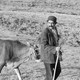 photo du film La Vache