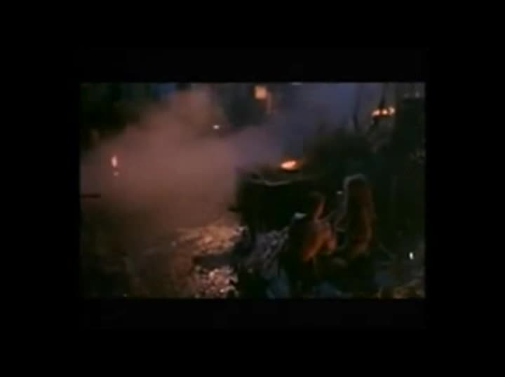 Un extrait du film  Cyborg