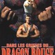 photo du film Dans les griffes du dragon rouge