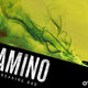 photo du film El camino : un film 